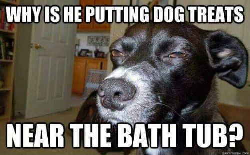 dog bath treatss.jpg